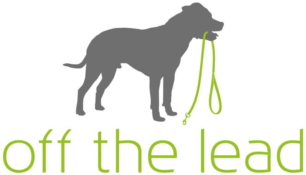 Dog Walking & Training Freedom Field in Send, Surrey